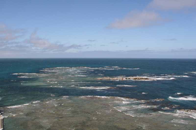 Nieuw-Zeeland 2011 - 1121